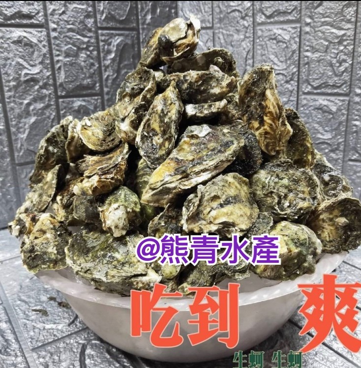 【東石鮮蚵】東石肥美帶殼牡蠣; 8斤/箱 ，14-20顆/斤 