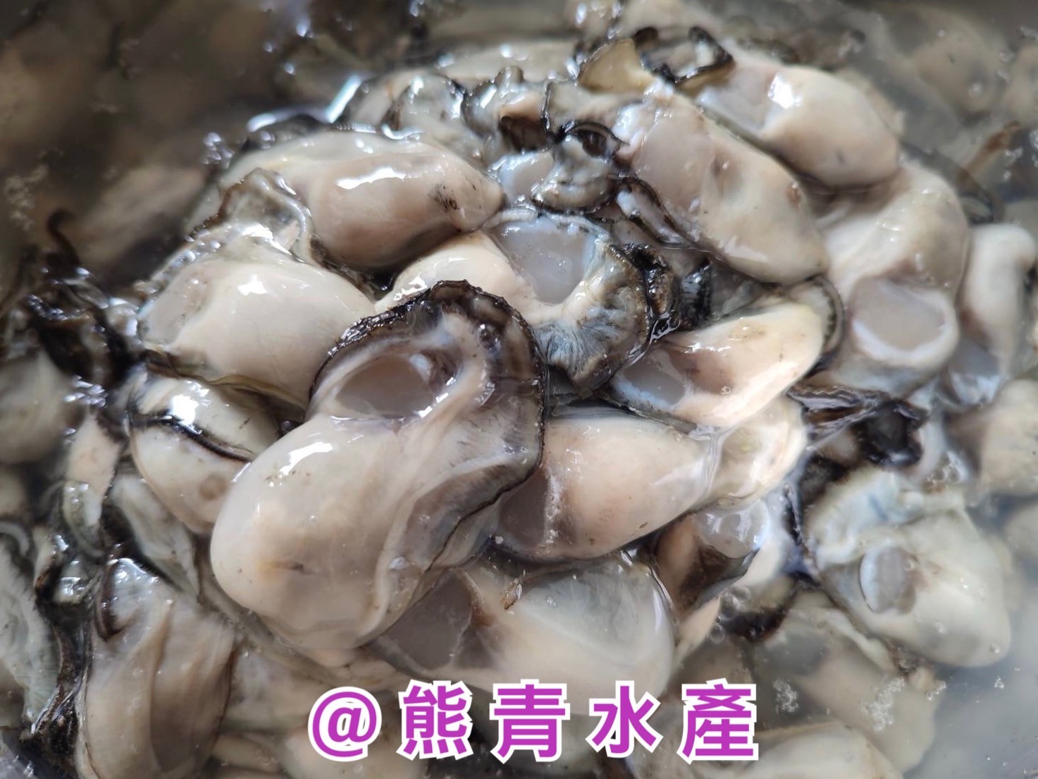 【東石鮮蚵】東石肥美大牡蠣*6包 現撈去殼 600g±10%/包