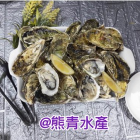 【東石鮮蚵】東石肥美帶殼牡蠣; 8斤/箱 ，14-20顆/斤 